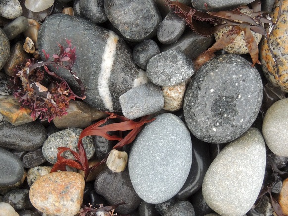 Skittering Rocks Skipping Rocks – Monhegan Commons